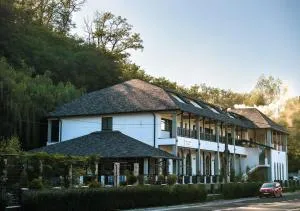 Hanul cu Sălcii - Jiblea Nouă