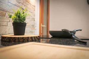 Apartement Nathalie - Wellness mit Pool und Sauna