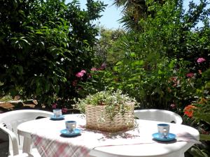 Oasis Apartments Argolida Greece