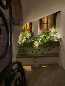 Arte-locum Apartamenty przy Rynku