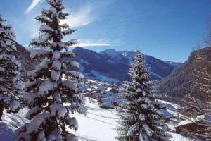 Studio centre Châtel avec coin montagne