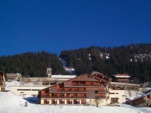 Appartements Studio centre Chatel avec coin montagne : photos des chambres