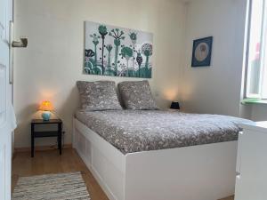 Appartements Biarritz centre, pres Avenue de Verdun, cosy Apt 2 pieces , salon , chambre separe, rue tres calme a 10 minutes a pied de la grande plage : photos des chambres