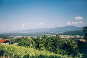 Holiday home in Novo mesto - dostava - Kranjska Krain 26036 