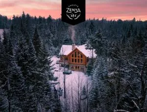 Chalet Blue Jay Spa at Fiddler's Lake - 圣索弗尔-德斯蒙特