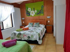 Cabañas & Hostal Tojika