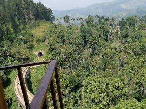Green Nature Paradise Ella