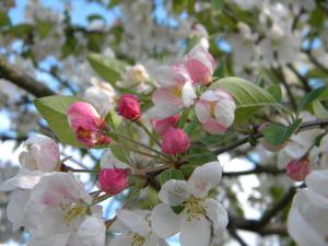 B&B / Chambres d'hotes chambre le nid du phare avec jacuzzi : photos des chambres