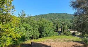 Maisons de vacances Quiet and Nature Holiday Home on the Cote dAzur : photos des chambres