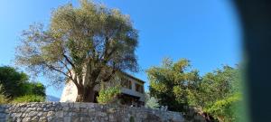 Maisons de vacances Quiet and Nature Holiday Home on the Cote dAzur : photos des chambres