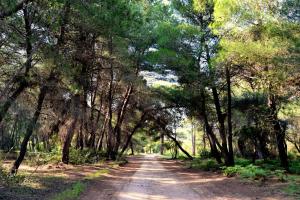 Rena's House Achaia Greece