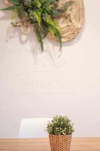 Villa Josechu By Silastur