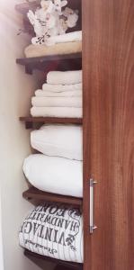 Nice & economic Studio