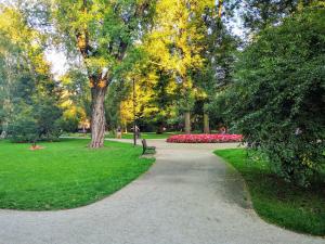 Basic quiet apartment close to Main Square