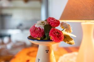 Schäferhof Dircks Fewo 1