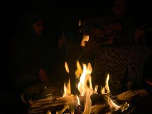 Camp Sahara Majestic