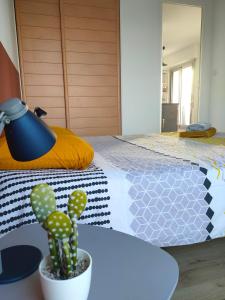 Appartements Logement centre Sarzeau Golfe du Morbihan France : photos des chambres