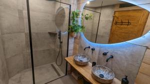 Chalets La Boutame : chalet au pied des pistes a Villard Reculas : photos des chambres