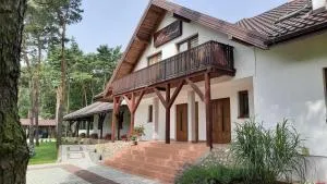 Kozi Lasek - Koluszki