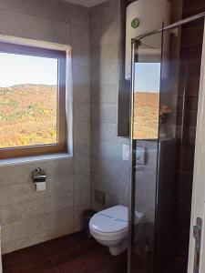 White Apartman Kopaonik