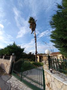 Phaedra Electra Estate