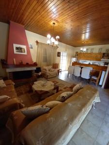 Phaedra Electra Estate