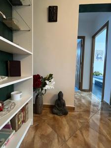 Casa carților - House of book’s