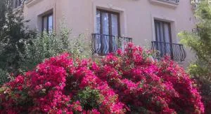 DENGE Homes - Trakhoni