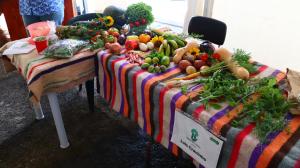 Casa L&M - Refúgio com Horta Biológica Certificada