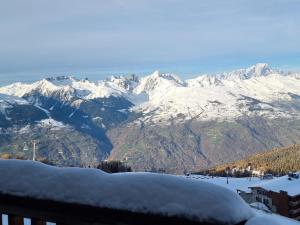 Studio Confortable aux Pieds des Pistes avec Animaux Permis - FR-1-181-2562