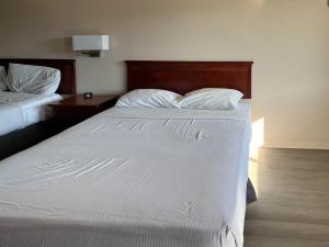 Queen Room with Two Queen Beds - Non-Smoking room in Studio 6 Millington TN