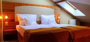 Double or Twin Room room in Hotel Okresní Dům