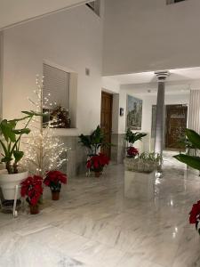 CALM SUITES Molino Corteza del Carmen