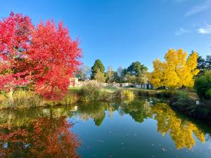 Hotels Les Jardins de l'Anjou : photos des chambres