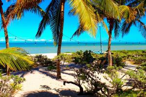 Paros a gulf of Mexico paradise