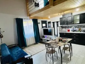 Reny's Studio Apartments -Hiperbara - Livezeni