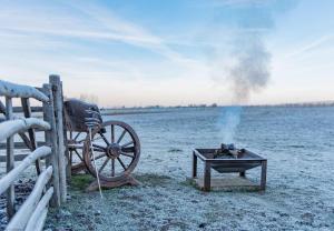 The Romney by Bloom Stays