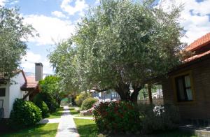 Cabañas Monteolivos