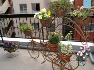 Hostel Zen - Vacation STAY 91867v