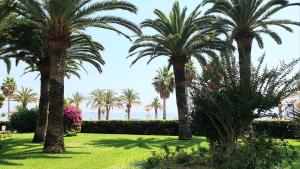 Garden and beach sea view apartment Cannes