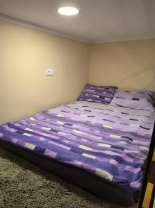 Little Sony Apartment