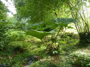 Maisons de vacances Charming 17th century house beautiful garden in Huelgoat : Maison de Vacances 2 Chambres