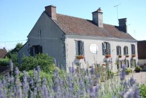 Appartements Les Bords de Loire : photos des chambres