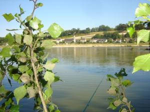 Appartements Les Bords de Loire : photos des chambres