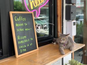 Sleep Sheep Phuket Hostel SHA