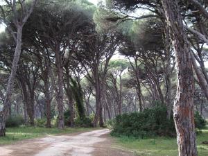 Rena's House Achaia Greece