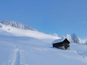 Apartment Mountain View