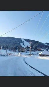 Casa de vacanță M&D - Nucet