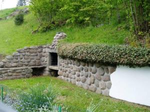 Charmant chalet de montagne avec terrasse et vue imprenable - FR-1-589-72