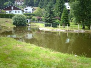 Gîte familial aux Vosges avec jeux pour enfants, à proximité de la nature et activités sportives - FR-1-589-111